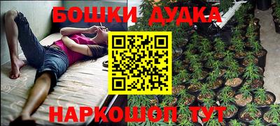 прущие грибы Тверь