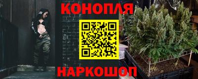 твердый Тара