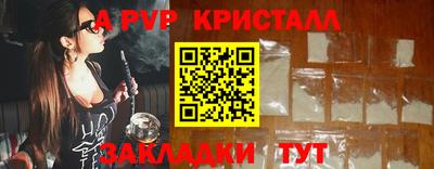 прущие грибы Тверь