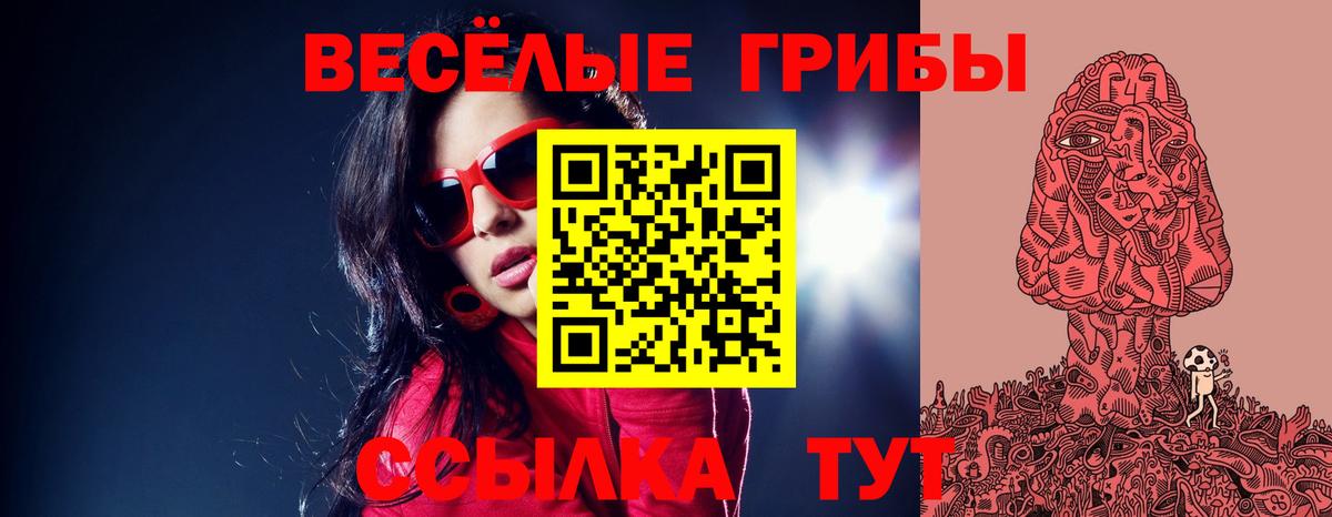 Галлюциногенные грибы ЛСД  цены   Псилоцибиновые грибы MAGIC MUSHROOMS  Бийск  Вход с VPN 